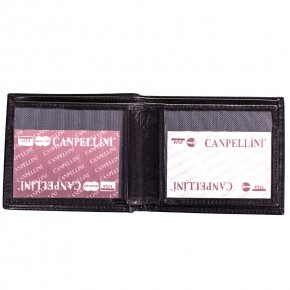   Canpellini SHI1044-2 7