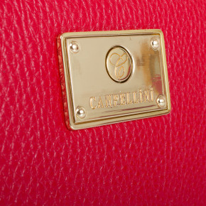    Canpellini SHI705-172DM 5