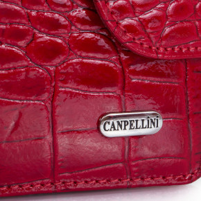    Canpellini SHI967-142 5