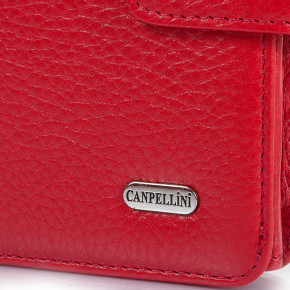    Canpellini SHI968-172 5