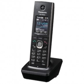   Panasonic KX-TPA60RUB  IP-DECT  KX-TGP600RUB 3