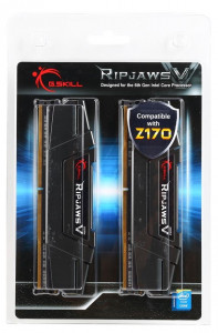   G.Skill DDR4 16GB (2x8GB) 3000 MHz Ripjaws (F4-3000C15D-16GVGB) 5