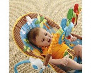 - Fisher Price  (Y7872) 4