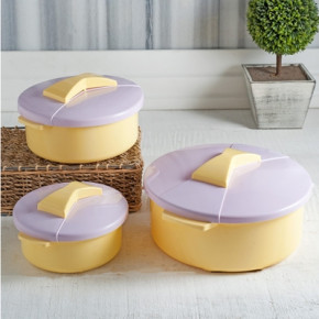   Bager BG-438 Yellow Lilac (BG-438 YL) 3