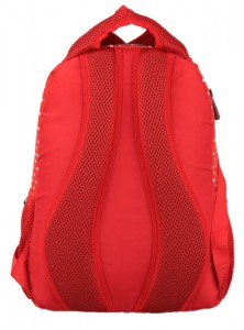   Kite 950 Junior (K16-950M-2) 4