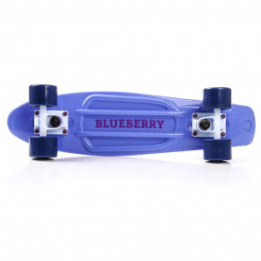  Meteor Blueberry (23998/blueberry) 3