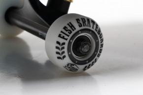  Original Fish Premium sk-415-8 Eye  4