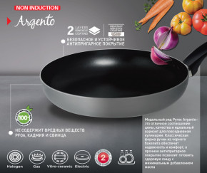  Pyrex Argento 20  (AR20BF4) 3