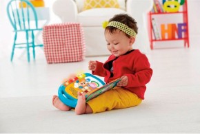   Fisher-Price   ( ) (DKK16) 3