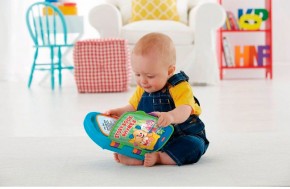   Fisher-Price   ( ) (DKK16) 4