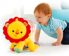   Fisher-Price   (DGM69) 5