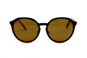   Glasses 205sk-br Gucci 3