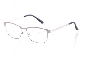   Glasses 2866silver