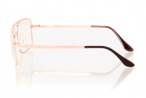   Glasses 8028gold 3