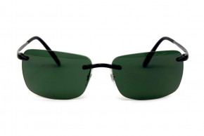   Glasses ls20green  3