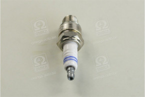   Bosch 0 241 248 531  BMW/Fiat 4