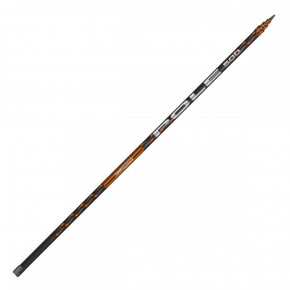   Salmo Team Pole / 7.00m 2-15g (5549-700)