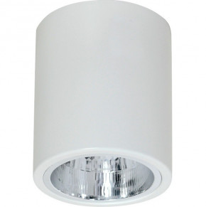   Luminex Downlight Round 7236