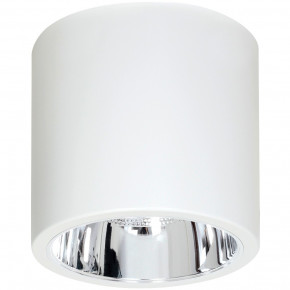   Luminex Downlight Round 7242