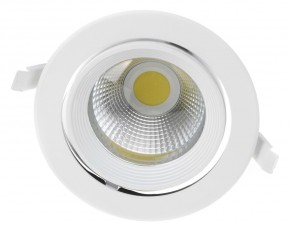    Brille LED-168/20W NW WH