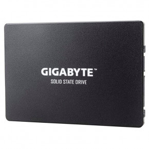  SSD Gigabyte GP-GSTFS31256GTND