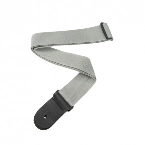    Planet Waves PWS105 Silver