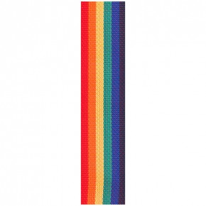    Planet Waves PWS111 Rainbow 3