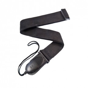     Planet Waves PWSPA200