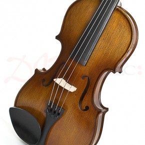  Stentor 1542/A Graduate Violin Outfit 4/4 7