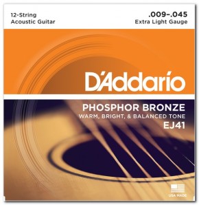    D'Addario EJ41 Phosphor Bronze 12-String X-Light 09-45