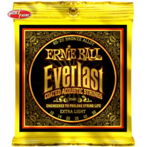     Ernie Ball 10-50 P02560