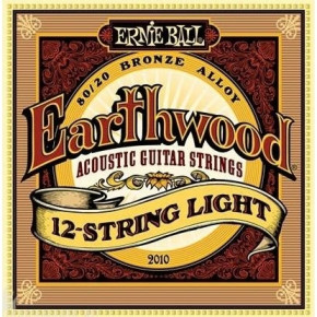    12-  Ernie Ball 9 P02010