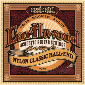     Ernie Ball P02069