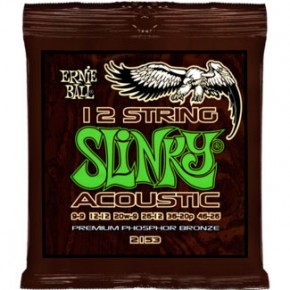     Ernie Ball P02153