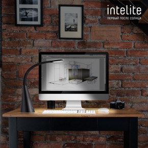   Intelite Desk lamp Iron Grey (DL4-5W-IGR) 6