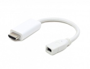  Vaong  Mini DisplayPort  VGA