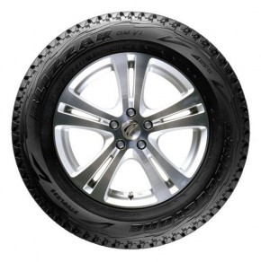   Bridgestone Blizzak DM-V1 255/65 R17 110R 4