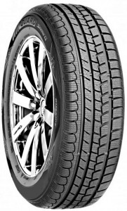   Roadstone Winguard Snow G 195/55 R16 87T