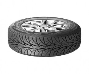     Rosava Snowgard 86 T 185/65 R14 86T 3