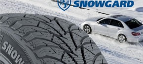   Rosava Snowgard 185/65 R15 88T 6