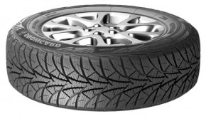   Rosava Snowgard 195/65 R15 91H 3