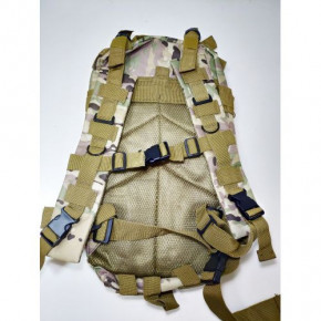    Molle Assault N02189 Camo 3