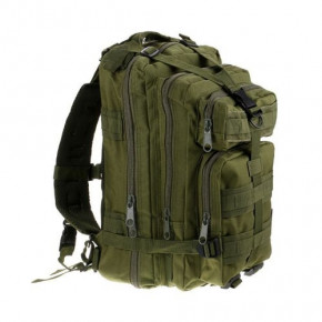    Molle Assault 20L Olive