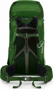  Osprey Kestrel 28 M/L Jungle Green 3