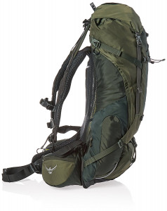  Osprey Aether AG 60 LG Adriondack Green 3