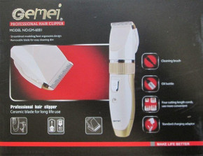    Gemei GM-6001  3