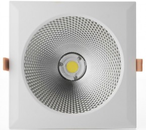   Brille LED-42/40W COB CW DL Downlight