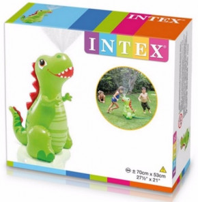  Intex 56598  4