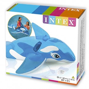   Intex   (0078257585236) 4