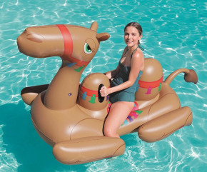  - Bestway 41125 Camel 3